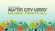 3-day Vip Weekend 2 Tickets Austin City Limits Music Festival Wristband