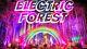 Electric Forest Music Festival 4-day Ga Pass Rothbury Michigan Ticket 6/27-6/30